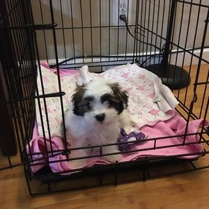 Meet your Posher, Daphne